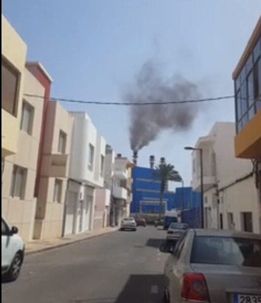 Enseñat: «Ni Cabildo ni Ayuntamiento han solicitado aún el traslado de la Central»