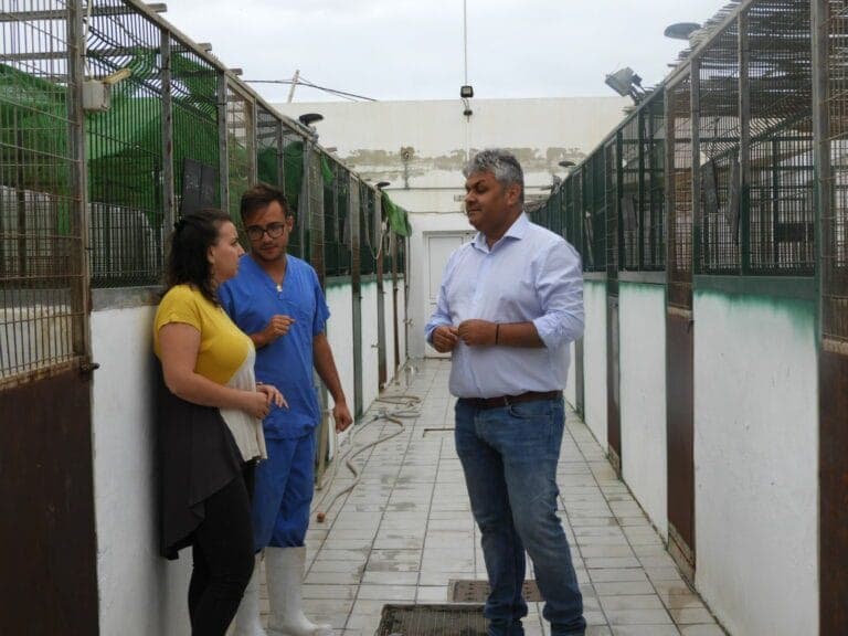 Nuevo SOS de la perrera portuense para incentivar las adopciones