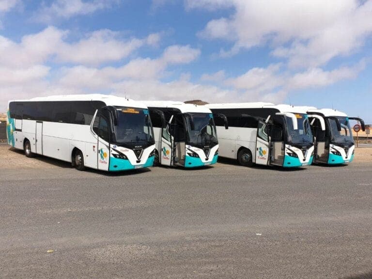 Servicio especial de guaguas para el Festival Arena Negra