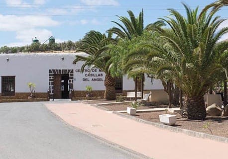 «El Hospital de Fuerteventura tiene servicios cerrados por falta de personal”