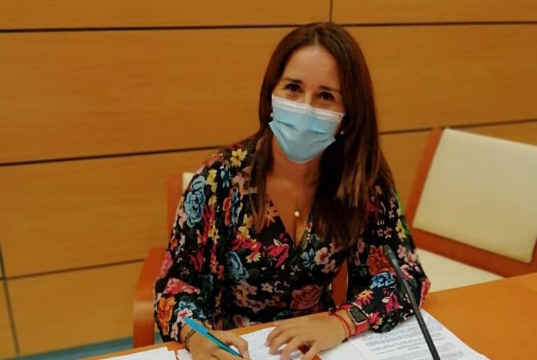 CC a favor de DreamLand pero «no en el emplazamiento propuesto»