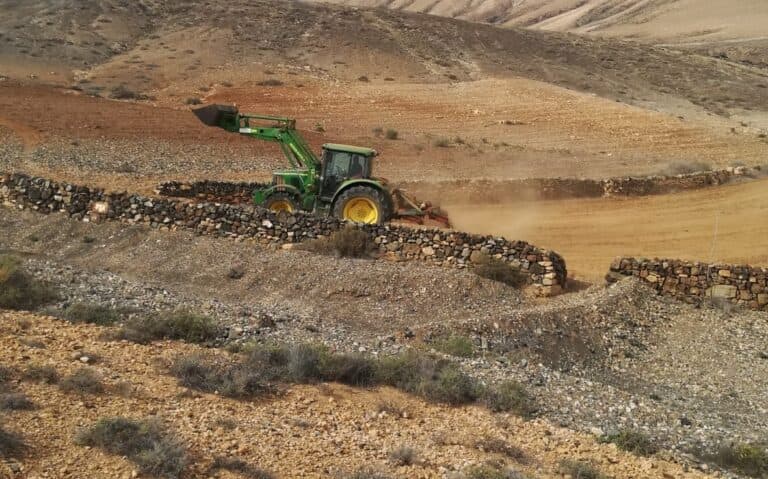 Pájara siembra dos toneladas de trigo para especies cinegéticas y fauna silvestre