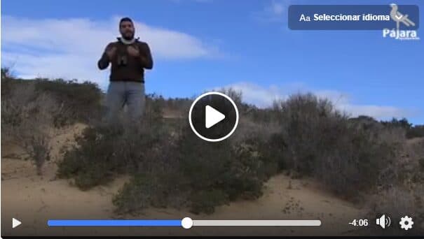 Pájara presenta un reportaje de concienciación sobre la conservación de los humedales