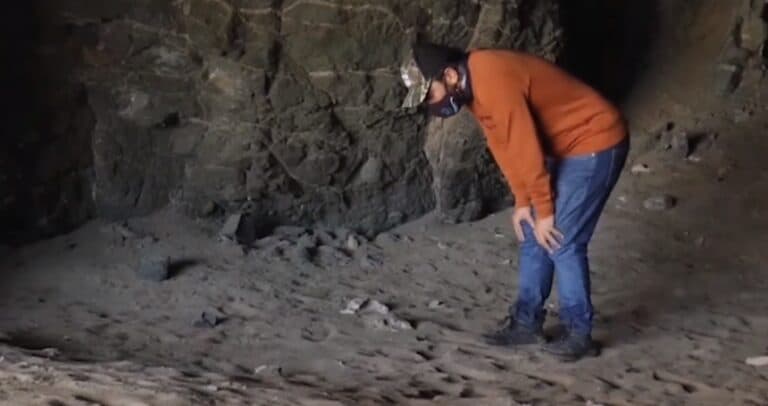 Patrimonio Histórico actualiza sus publicaciones después de varios años