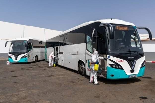 Tiadhe inicia una campaña de desinfección integral de sus guaguas