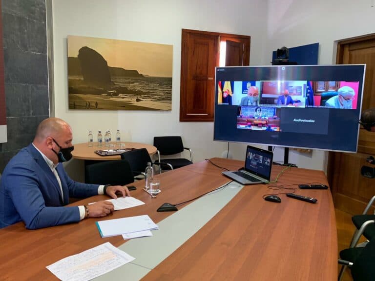 El presidente del Cabildo participa telemáticamente en el Senado