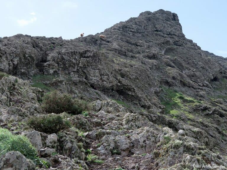 Denuncian la aparición de un vertido contaminante en Montaña de La Muda