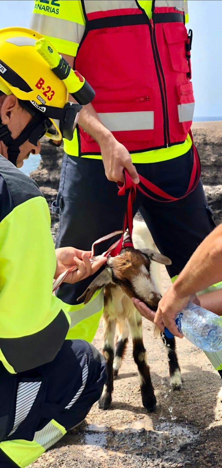 VIDEO | Rescatado un animal atrapado en un acantilado de Antigua