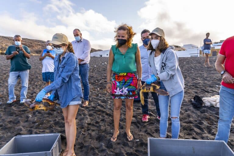 El Cabildo libera en Ajuy dos ejemplares recuperados de tortuga