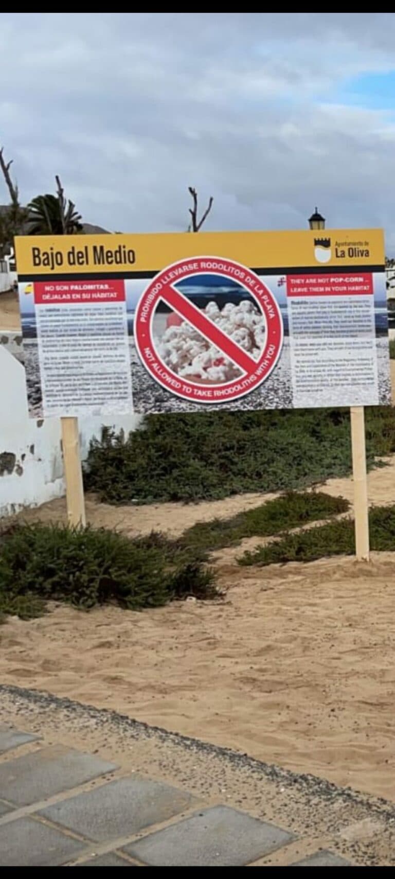 La Oliva instala carteles para evitar el expolio de los rodolitos