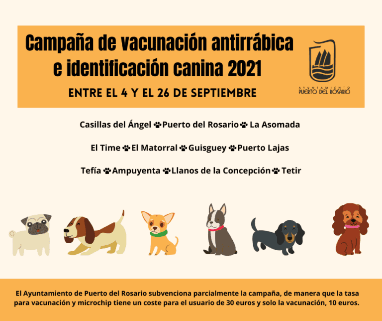 Campaña de vacunación antirrábica e identificación canina en Puerto del Rosario