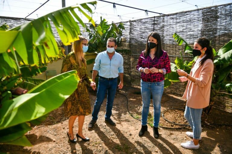 Tuineje acerca a los jóvenes a la huerta a través de talleres