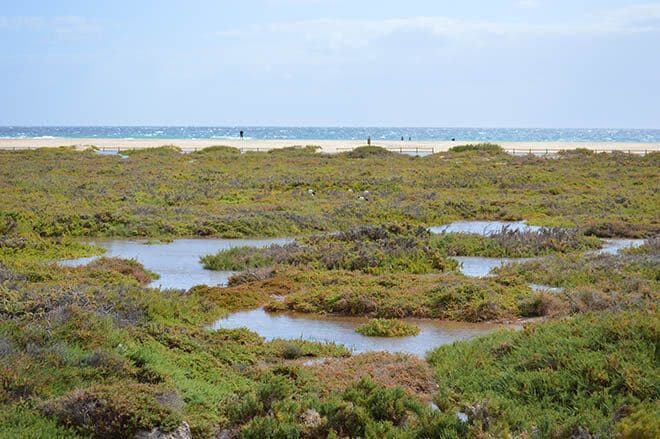 Pájara pide colaboración ciudadana para proteger las Cuevas de Ajuy y el Saladar de Jandía