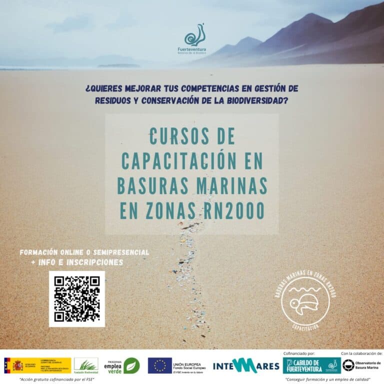 El Cabildo imparte talleres en gestión de residuos marinos