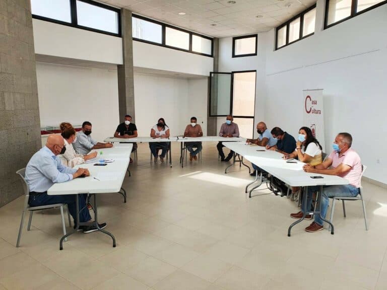 Puerto propone crear un convenio insular para abordar la problemática del palmeral en la isla