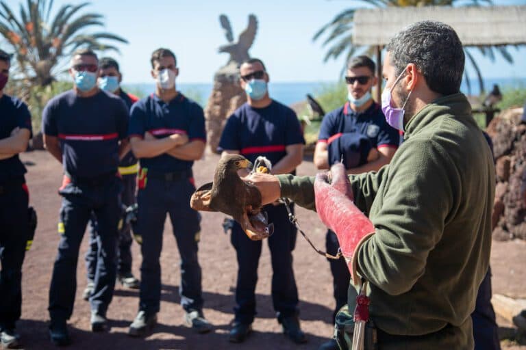 Oasis Wildlife forma a quince bomberos de la capital en manejo y control de fauna