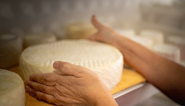 Curso de elaboración de quesos de leche de cabra, mantequilla y otros derivados lácteos