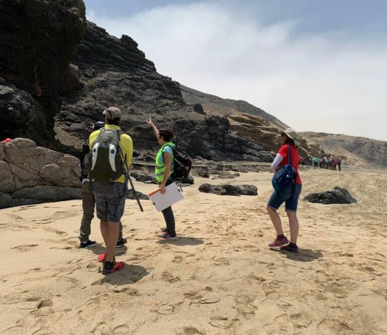 El entorno volcánico de la Vega de Río Palmas acoge la actividad del Geolodía Fuerteventura 2022