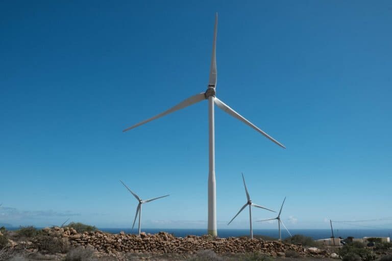 Fuerteventura se queda fuera de los 41 proyectos de eólica y fotovoltaica aprobados en Canarias