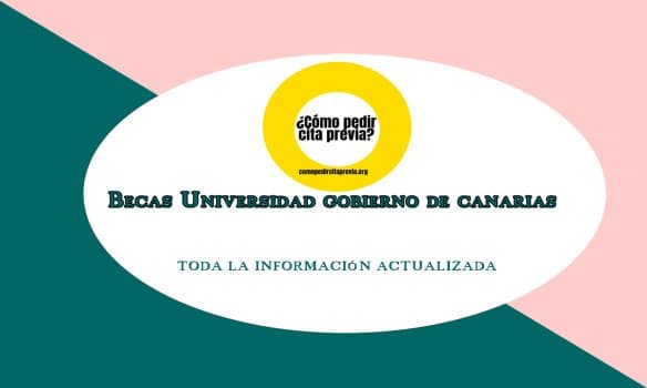 Canarias inicia este martes el plazo para pedir becas universitarias