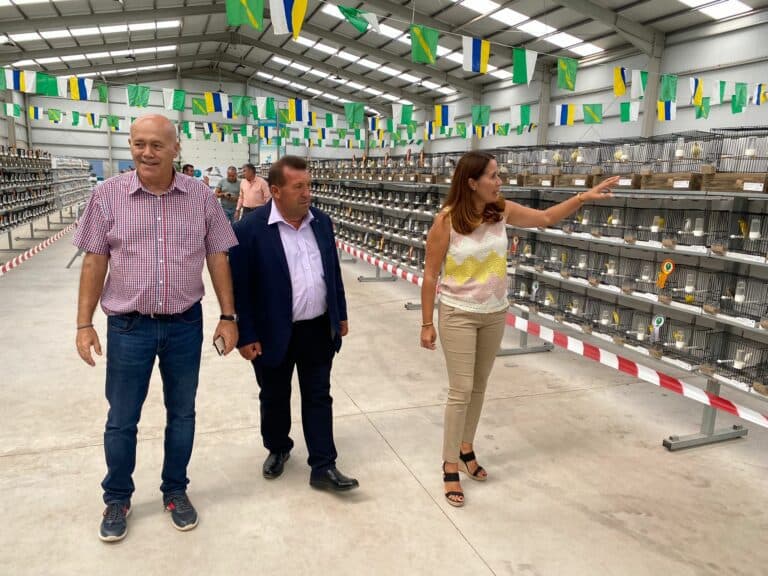 Arranca en Pozo Negro el XVII Campeonato Ornitológico de Canarias