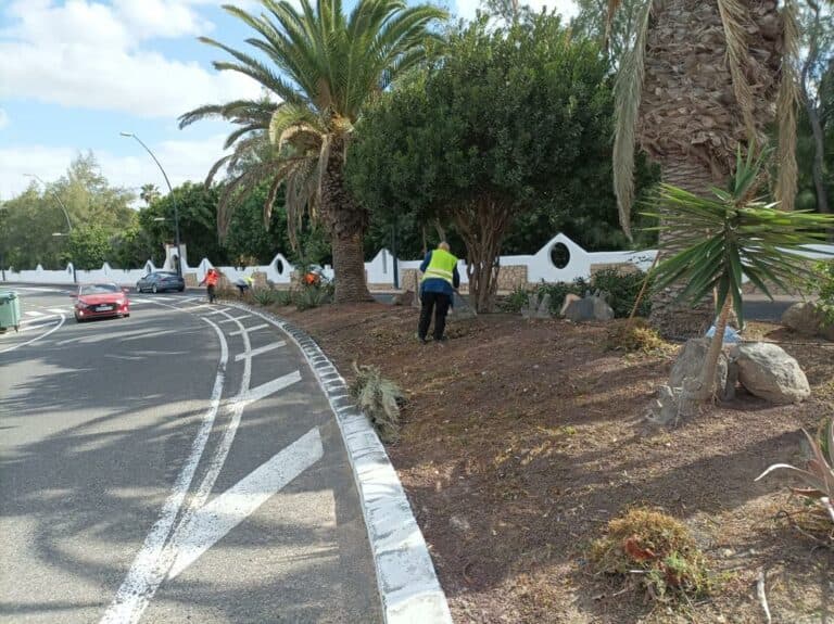Pájara limpia y embellece los jardines del municipio
