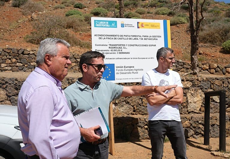 El Cabildo invierte 1,3M€ en la conservación del Pinar de Betancuria