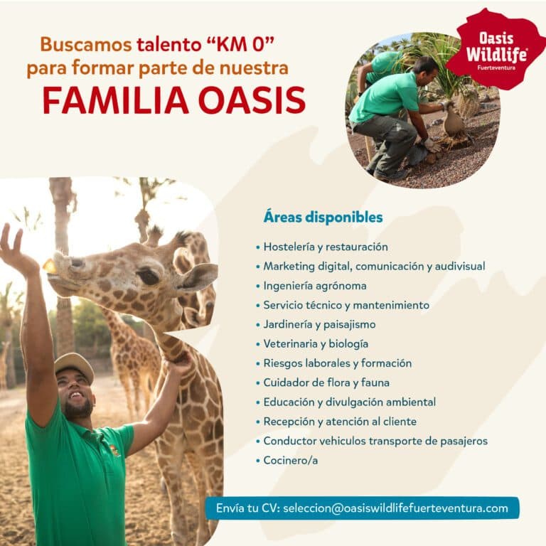 Oasis Wildlife pone en marcha una campaña para captar talento en Canarias