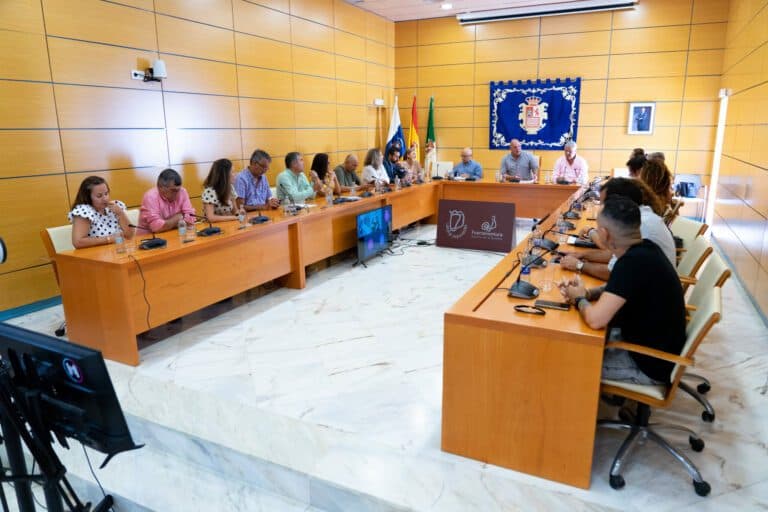 El Cabildo dice adiós al gobierno bicéfalo