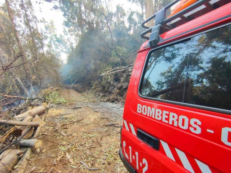 El fuego en Tenerife, aún sin control pero con el perímetro estabilizado en su mayor parte