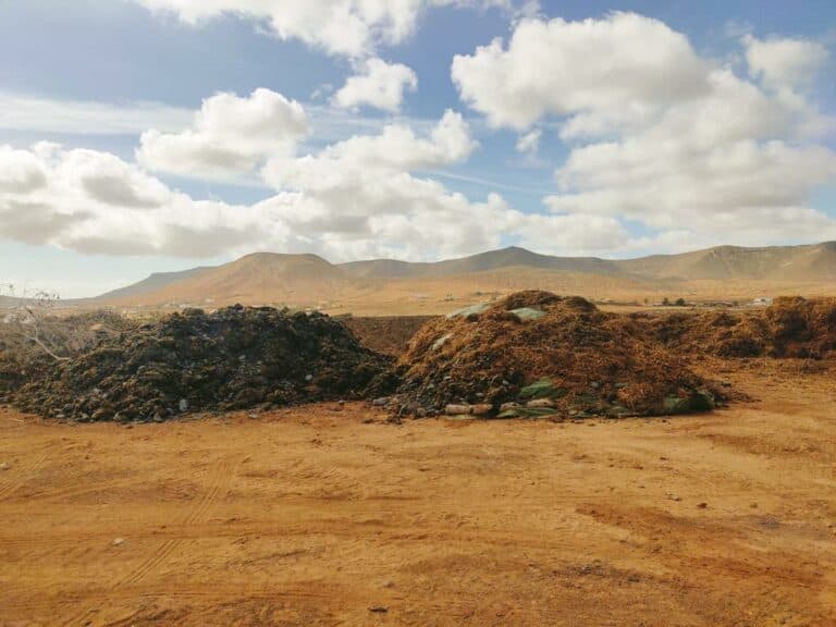 Retiran las algas de la playa de Puerto Lajas