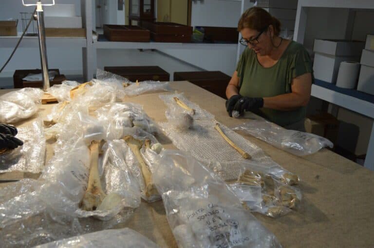 Arqueólogos estudian por primera vez la violencia física de los mahos