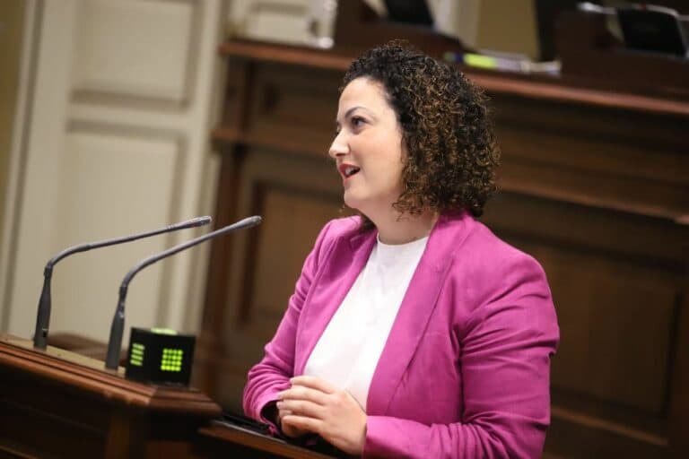 Jana González Alonso valora el informe de la Diputación del Común y el reflejo de mejoras en áreas importantes como Sanidad, Educación o Sector primario