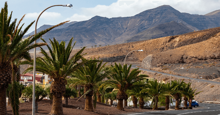 Pájara se une a la campaña #unÁrbolporEuropa