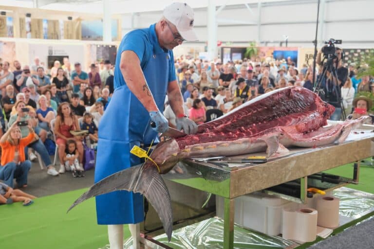 Cuenta atrás para Feaga 2025: Pozo Negro se renueva para recibir al sector primario