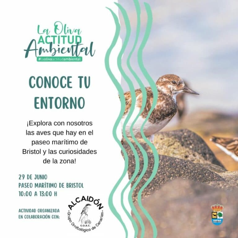 La Oliva pone en valor la biodiversidad del municipio