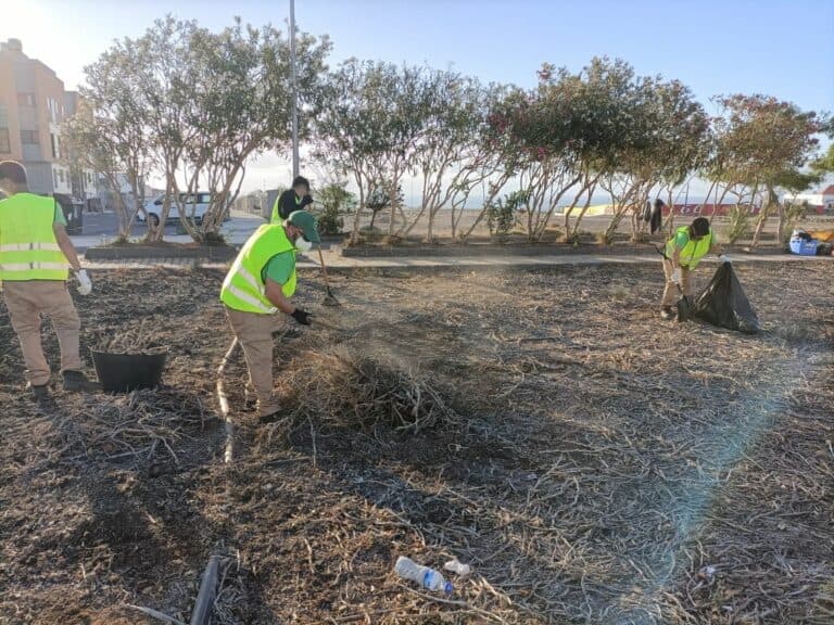 El PFAE Turmero trabaja en un nuevo espacio verde para Rosa Vila