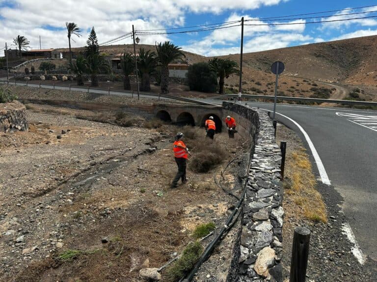 Culmina el desbroce y limpieza del barranco de Tarajalejo y empieza en Tesejerague