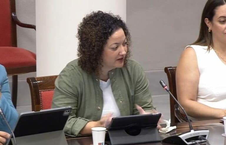 Jana González insiste en la importancia de la elaboración de protocolos para cumplir con la Ley Canaria de Igualdad