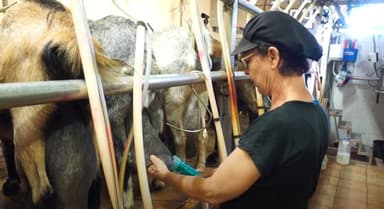 «Con 40 cabritas empezamos y hoy son más de 4,000»: Nicolasa Castro de Ganadería La Pared, Premio al Mejor Queso de Canarias 2024