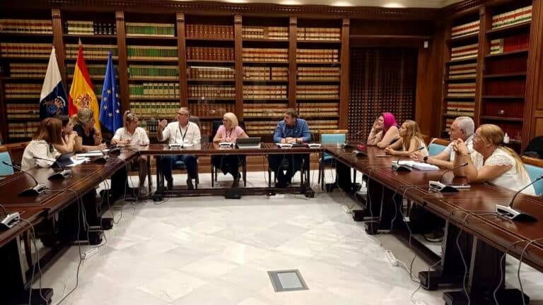 FIMAPA y CONFAPA Canarias se reúnen con la Consejería de Educación del Gobierno de Canarias para abordar el curso escolar