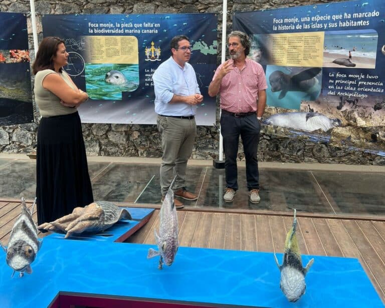 El Centro de Interpretación de los Hornos de Cal acoge una exposición sobre la biodiversidad marina canaria