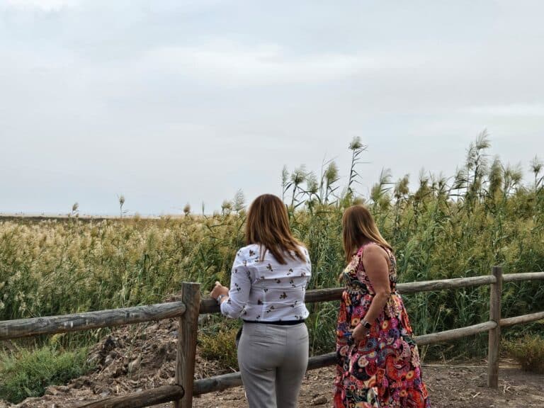 El Ayuntamiento de Pájara y el Cabildo de Fuerteventura muestran su preocupación por la plaga de caña común que afecta al Salazar de Jandía