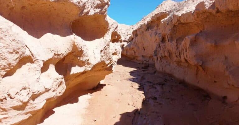 Domingo Martínez Berriel: “Los quads están haciendo un atentado medioambiental en entornos como el Barranco de los Encantados”