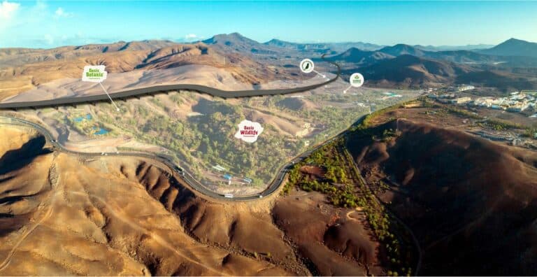 Oasis Wildlife, en riesgo de desaparecer: más de 400 empleos y el futuro de Fuerteventura en peligro