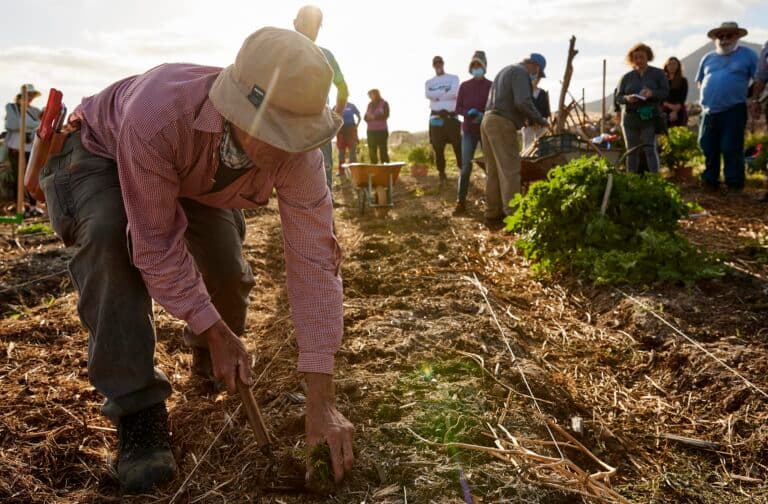 Impulsan la agroecología en Fuerteventura con el taller «Arrimando el hombro»