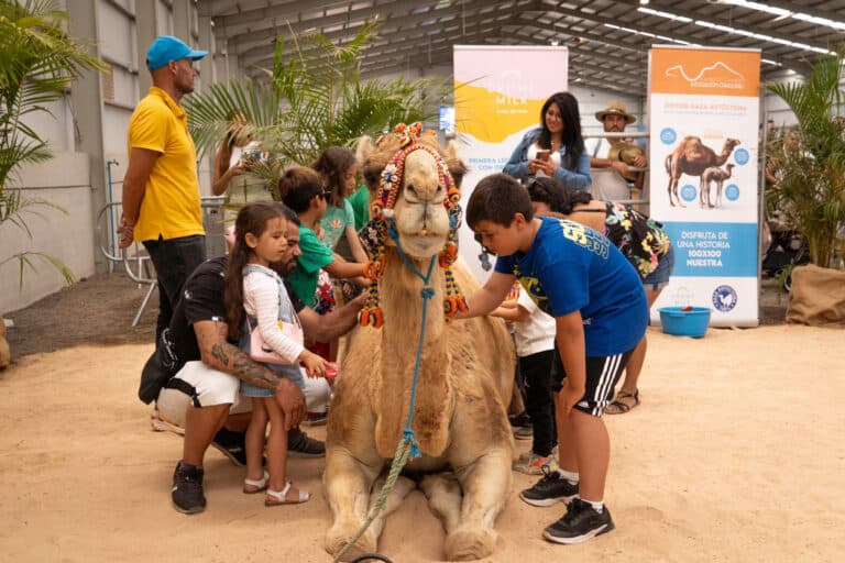 Dromemilk Camel Bio Farm, la Fundación Chekipa y la Asociación para la Conservación del Camello Canario participan en Feaga con talleres y acciones educativas