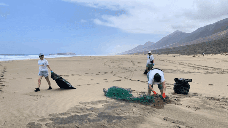 Pájara reafirma su compromiso ambiental en la décima edición de Limpia Cofete