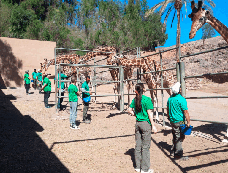 Fuerteventura acogerá el primer campamento internacional para futuros cuidadores de animales en Europa