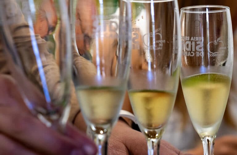 Sidras canarias conquistan ocho premios en el certamen internacional SISGA de Asturias